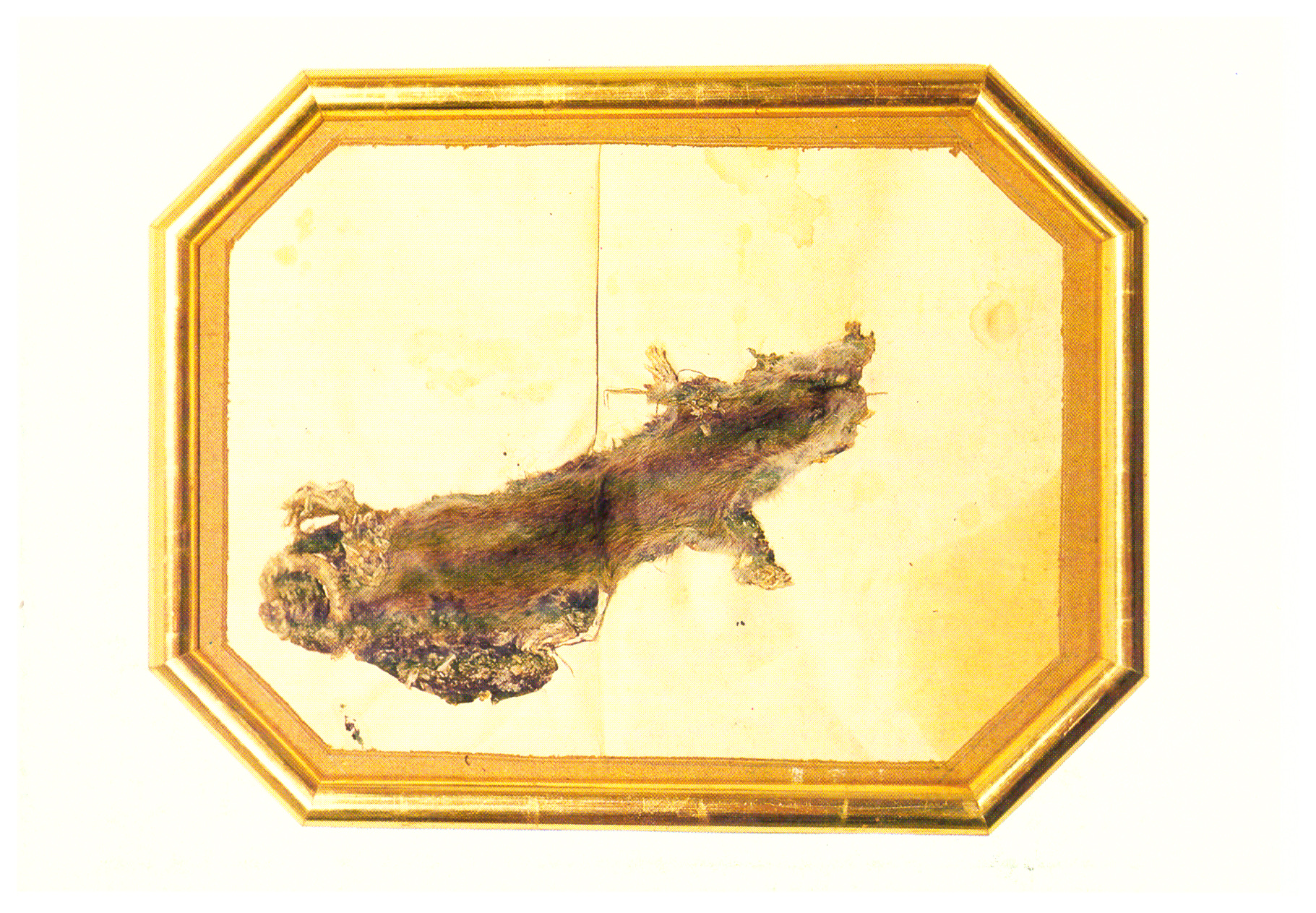 <p>Einladungskarte zur Ausstellung "Felix Droese, infelix lignum", Kunstraum München e.V., 1983, Drucksache, 10.5 × 14.8 cm</p>