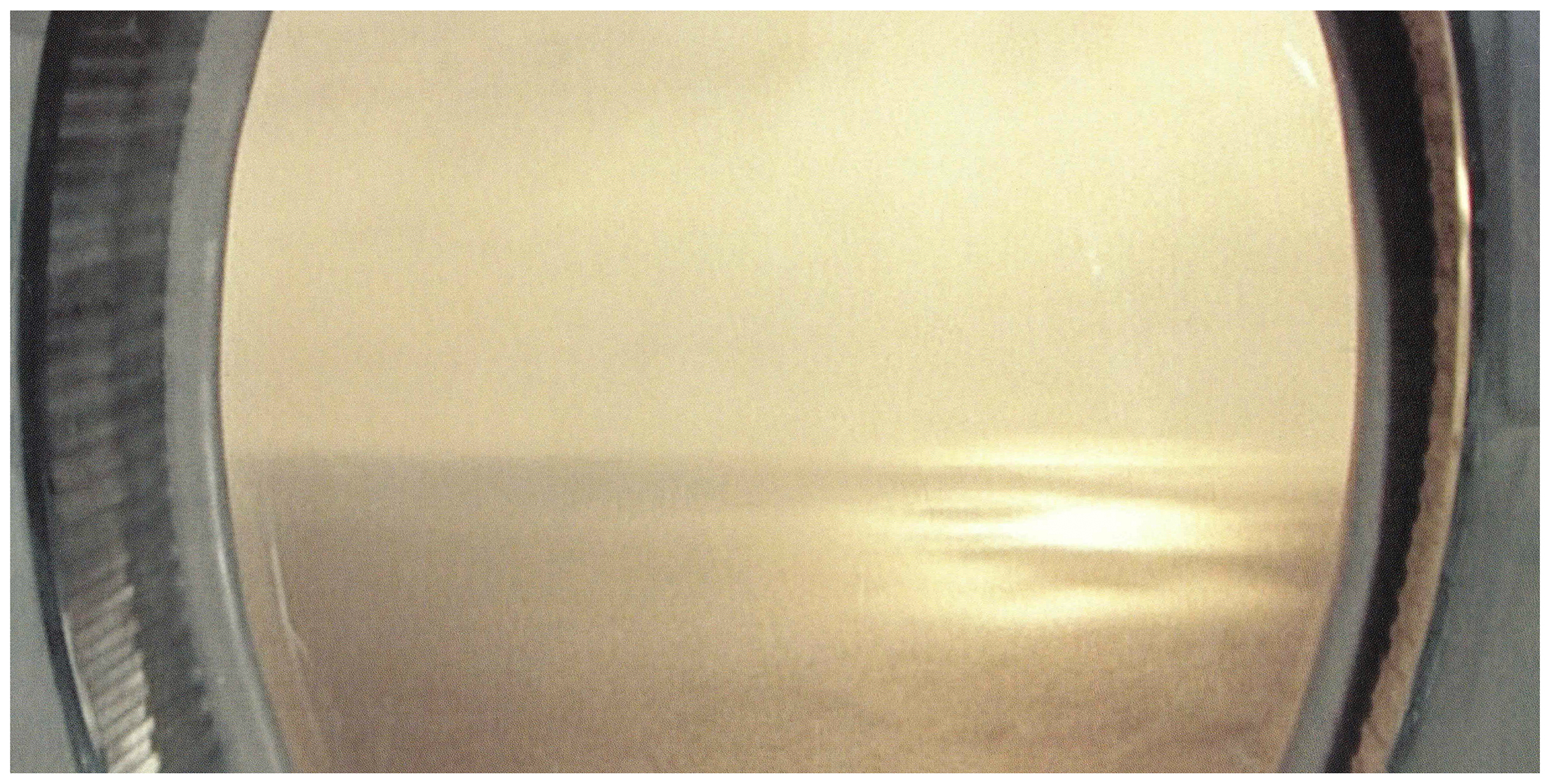 <p>Einladungskarte zur Ausstellung "Anderswelten I. / transfer", Kunstraum München e.V., 2003, Drucksache, 10.5 × 21 cm</p>