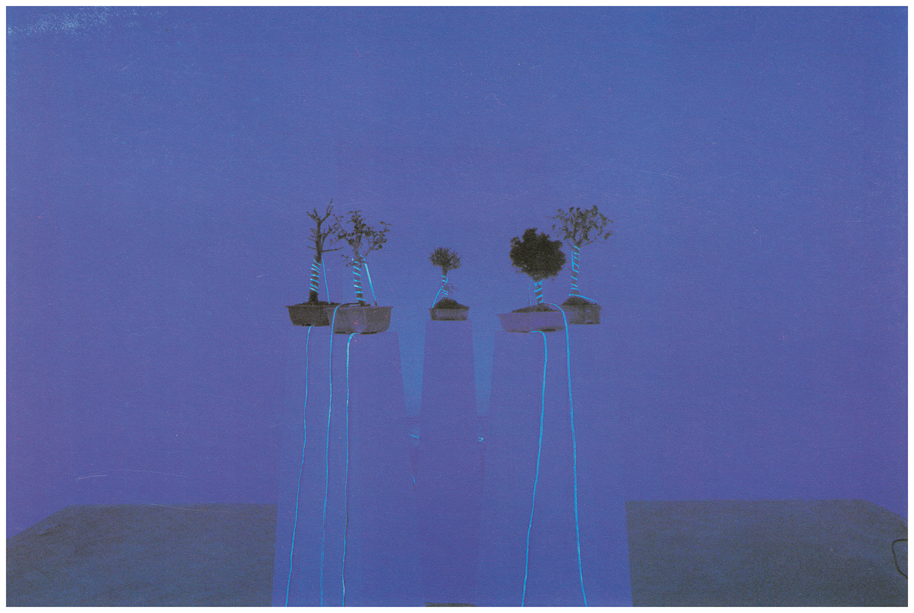 <p>Einladungskarte zur Ausstellung "Christina Kubisch. Klanginstallation", Kunstraum München e.V., 1989, Drucksache, 10.3 x 15.7 cm</p>